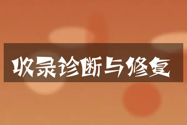 收录诊断与修复
